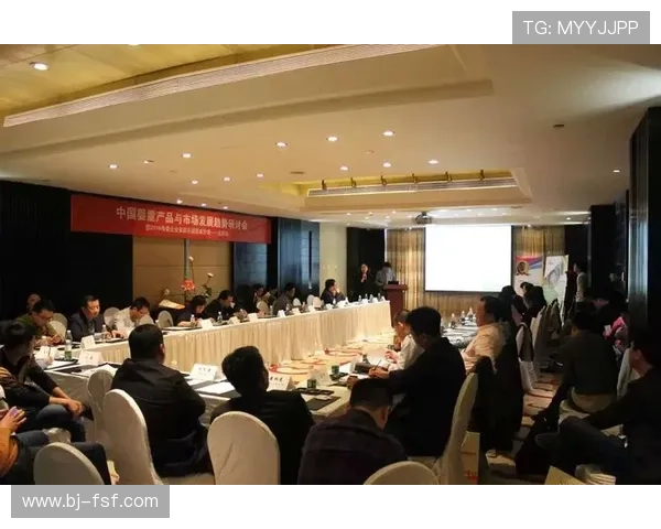 深入解析德国足球甲级联赛竞争格局与俱乐部发展战略趋势分析