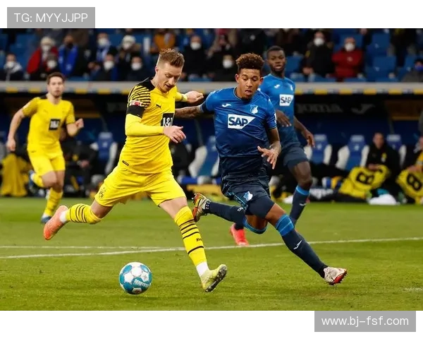 汉堡俱乐部新赛季重整阵容冲击德甲回归引发球迷热议管理层战略调整